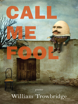 cover image of Call Me Fool